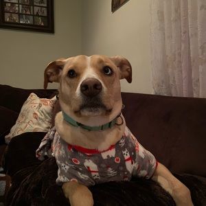 Meet your Posher, Kenny